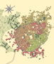multiverse:40555017154:campoverde.png