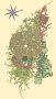 multiverse:40555017154:innescoazzurro.png